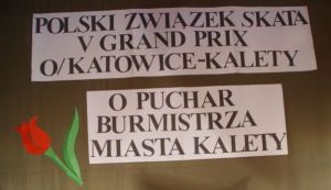 V Grand Prix Okręgu Katowice w Skacie Sportowym o puchar Burmistrza Miasta Kalety