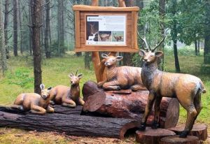 Drewniane figury zwierząt leśnych zabezpieczone przed zimą