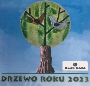 Cis Donnersmarcka w gronie finalistów konkursu Drzewo Roku 2023